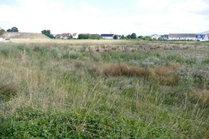 5485 - Duenenputz Sandhausen 6