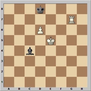 5516 - Diagramm