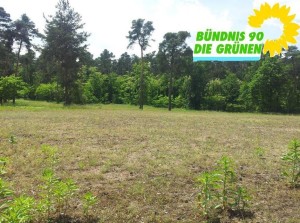 5662 - Dünen