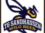 Wild Bees Damen bringen Schokolade zum Schmelzen