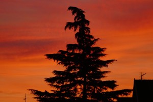 5893 - Herbst Sonnenuntergang