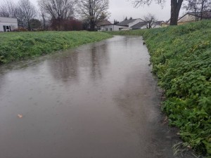 5960 - Hochwasser 2