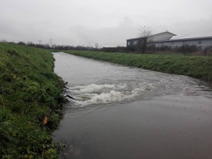 5960 - Hochwasser 3