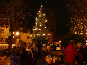 5987 - Weihnachtsbaum Dilje 3