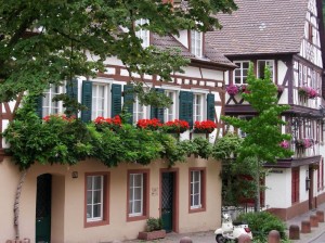 6765 - Weinheim 1