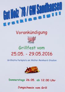 7094 - Gut Holz Jungschwein 480
