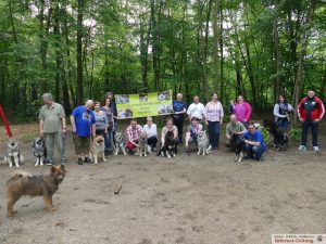 7116 - Eurasier 1