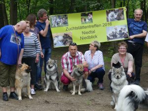 7116 - Eurasier 4