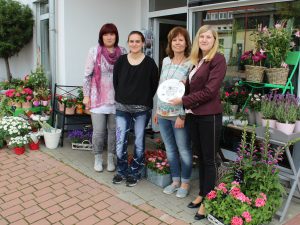 7467 - Blumen-Hornstein