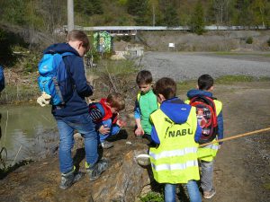 7919-naju_nussloch_1