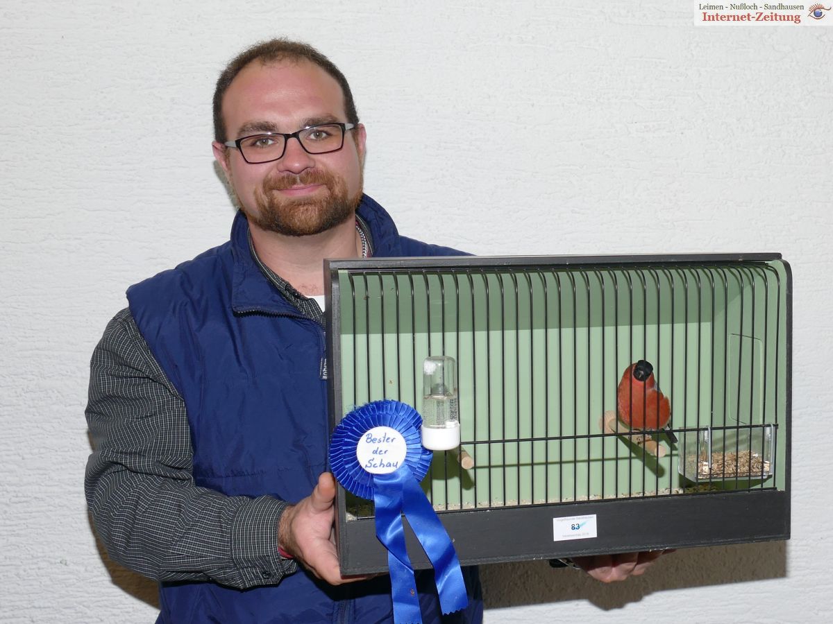 Vogelausstellung Sandhausen: Marco Linggs Nordischer Dompfaff bester Vogel der Schau