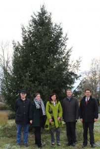 8177-weihnachtsbaum_haus_und_grund_20161122