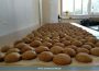 Plätzchenbacken für den Weihnachtsmarkt