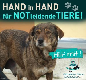 8235-spendenaktion-tiere