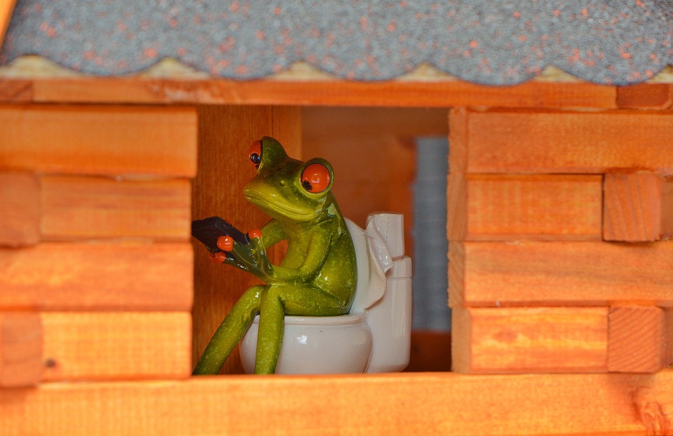 frog-927602_960_720