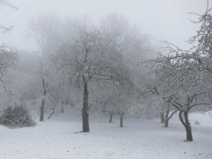8335-winter-schnee-impressionen-1