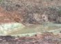 Amphibien-Laichgewässer angelegt: Becken ist fertiggestellt