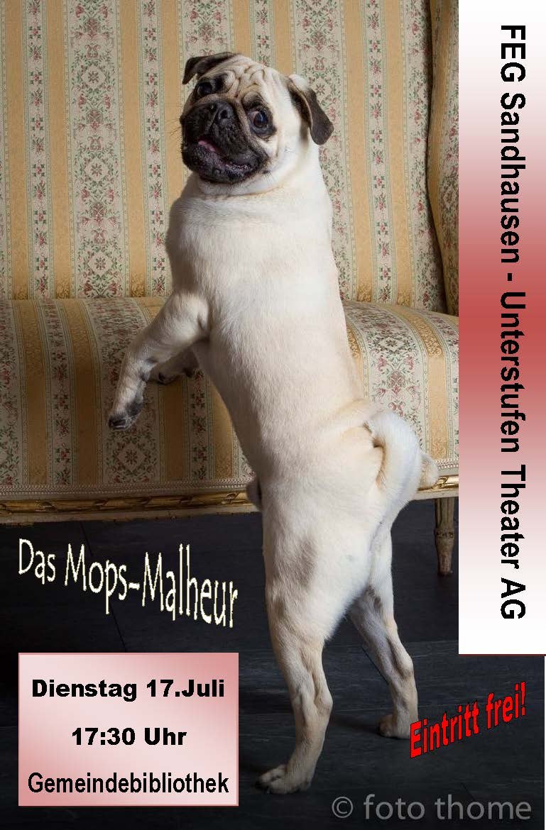 Fr.-Ebert-Gymnasium: Unterstufentheater am 17.7.2018: „Das Mops-Malheur“