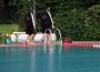 Wasserball: SGW Leimen-Mannheim geht gegen Neustadt unter