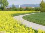 Leimen und Nußloch bewerben sich gemeinsam für eine interkommunale Gartenschau