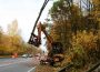 Gehölzpflege entlang der Bundes-, Landes- und Kreisstraßen im Rhein-Neckar-Kreis