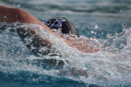 Kantersieg für  SGW Leimen-Mannheim in der 2. Wasserballliga Süd