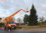 Haus & Grund Leimen spendete erneut 500,- € für den Kreisverkehr-Weihnachtsbaum