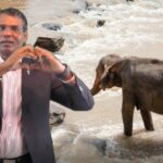 Das Geistliche Wort #701 ff 15180 - GWS 501 Elefant q