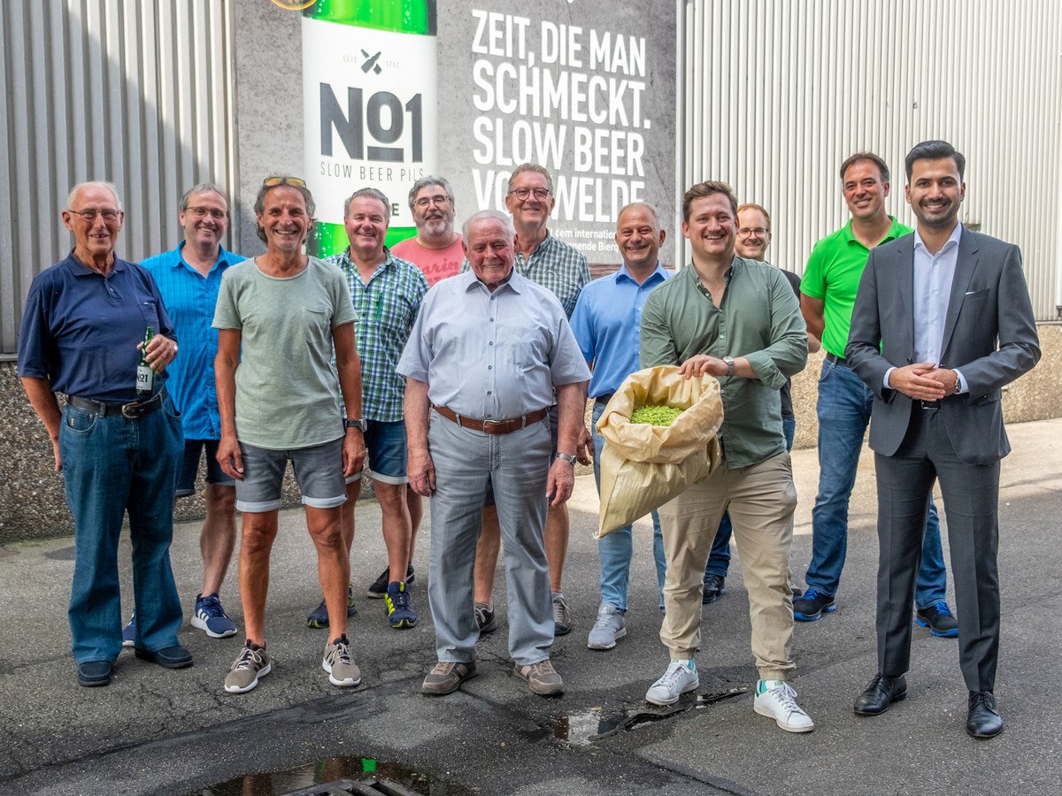 Original Sandhäuser Aromahopfen – Insgesamt 85 Kilo wurden maschinell ‚gezopft‘
