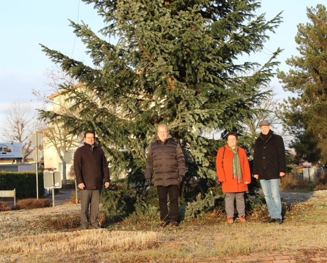 Haus & Grund Leimen spendete 500,- € für Kreisel-Weihnachtsbaum