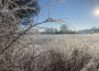 Fotowettbewerb „Frühlingsspaziergang“ – </br>Mitmachen und Schlemmerblock gewinnen