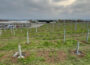 Baubeginn Solarpark Sinsheim: </br>Inbetriebnahme im Frühjahr 2023