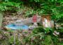 Der Wichtelpfad: Sommerlicher Spaß für die ganze Familie im Leimener Wald