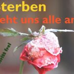 Podiumsdiskussion ,Sterbehilfe: "Sterben geht uns alle an!" - Dienstag 19 Uhr Mauritiushaus 18177 - Sterbehilfe q