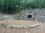 Kreisforstamt: Unser Wald – Das größte Klassenzimmer im Rhein-Neckar-Kreis
