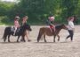 Pferde live erleben – 1. Mai beim Reitsportverein Leimen
