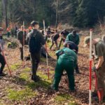 Wald mit vielen verschiedenen Baumarten kann Klimaveränderungen besser verkraften 19591 - Pflanzaktion LRA 1