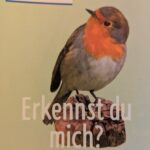 21069 - NABU Vögel