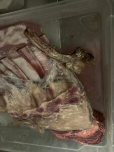 Offenes Fleisch mit stark verschimmeltem Knochenstück in einer Lagerbox.