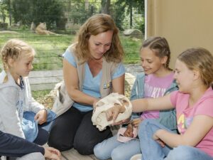 Kinder im Zoo Heidelberg betrachten mit einer Mitarbeiterin einen Löwenschädel während eines Ferienprogramms der Zoo-Akademie.