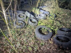 Illegale Altreifenentsorgung im Wald bei Bammental neben einem Fahrradweg.