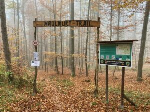 Eingang zum Maulwurf-Trail Spechbach im herbstlichen Wald mit Holzschild, Infotafel und Laub auf dem Boden.